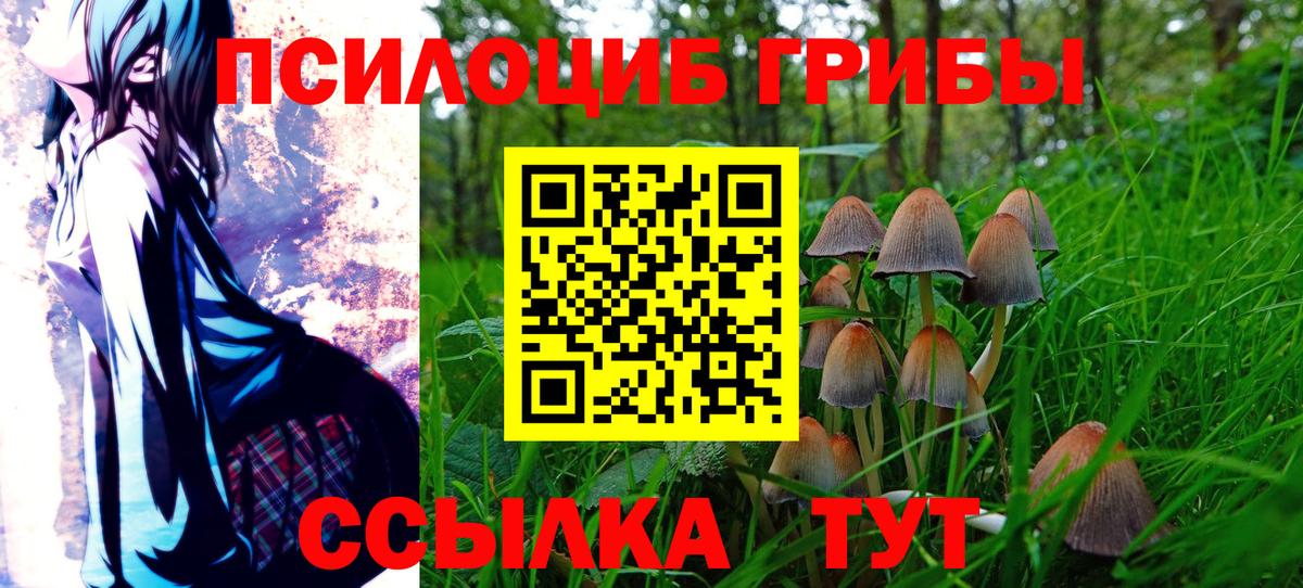 Галлюциногенные грибы MAGIC MUSHROOMS  Галлюциногенные грибы прущие грибы  Вход с VPN  Долгопрудный 
