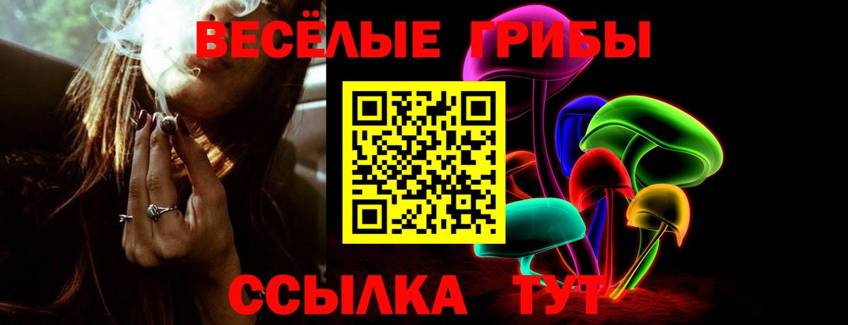 Галлюциногенные грибы прущие грибы Долгопрудный